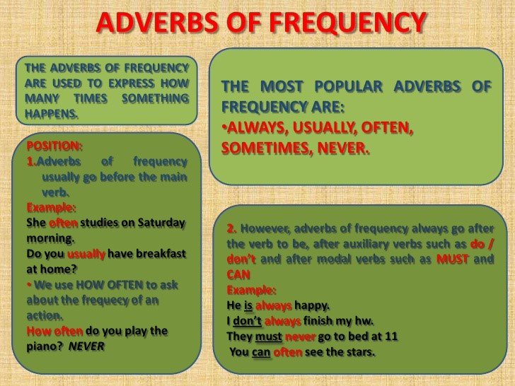 Frequency Adverbs Grammar Exercises